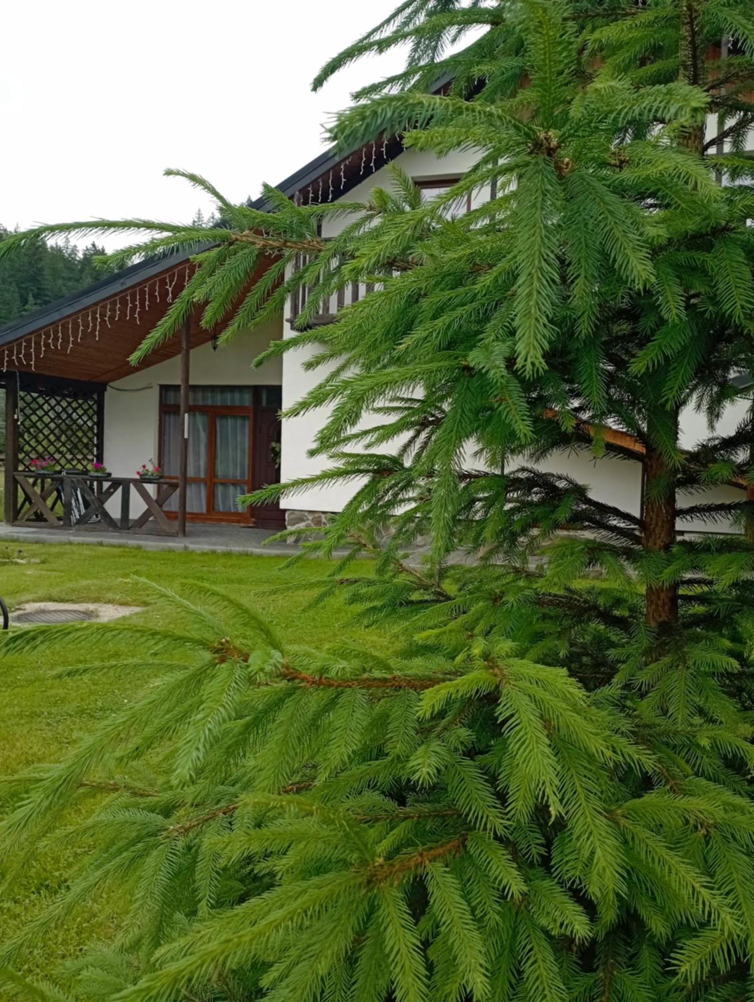 U Anastasii I Sofii Bilya Richki Guest House Mykuljtsjin Eksteriør bilde